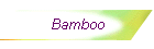 Bamboo