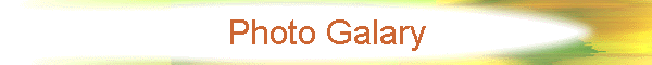 Photo Galary